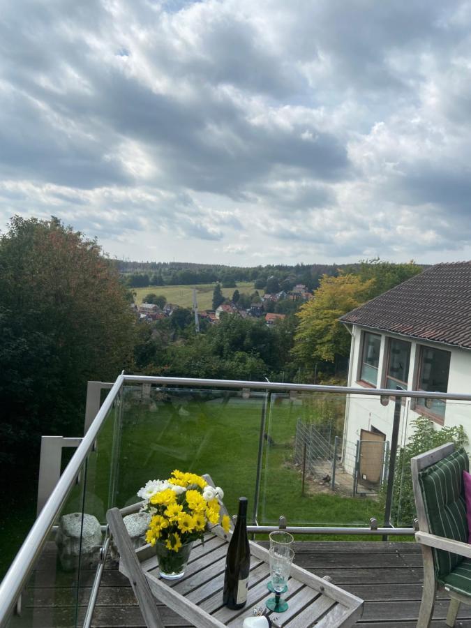 Haus Gisela Appartement Braunlage Buitenkant foto